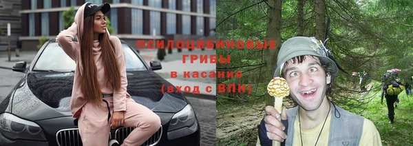 мяу мяу мука Армянск