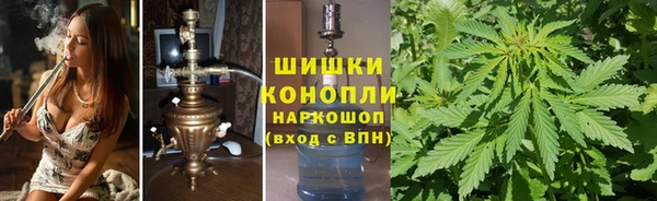 ПСИЛОЦИБИНОВЫЕ ГРИБЫ Баксан