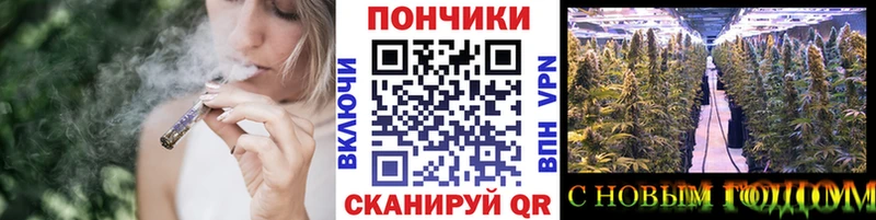 Каннабис OG Kush  Грайворон 
